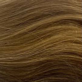 Dark Blonde with Light HL (245)