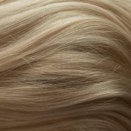 Pale Gold Blonde (613)
