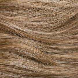Light Brown & Ash Blond HL (713)