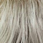 Blonde Rooted