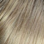 Wheat Root