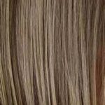 Honey Mix Balayage (12/27/16 + 12)