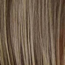 Honey Mix Balayage (12/27/16 + 12)