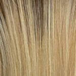 Honey Blonde Balayage (22/25 + 10)