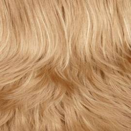 Light Golden Blonde HL (26H)