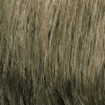 Dark Ash Blonde (M14S)