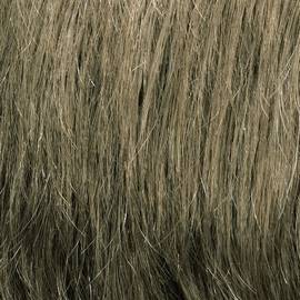 Dark Ash Blonde (M14S)