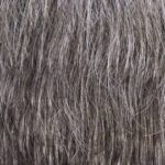 Light Chestnut Brown with 75% Gray (M46S)