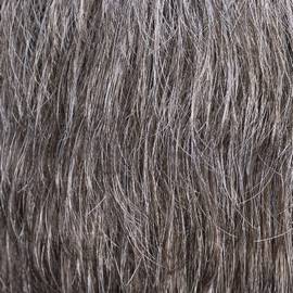 Light Chestnut Brown with 75% Gray (M46S)